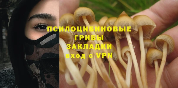 кокс Алексеевка