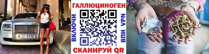 купить   Дно  Псилоцибиновые грибы Magic Shrooms 